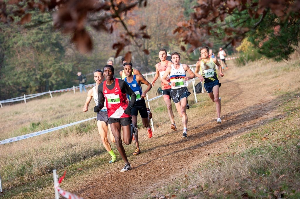 Darmstadt-Cross, Foto: Veranstalter Darmstadt-Cross, Foto: Veranstalter