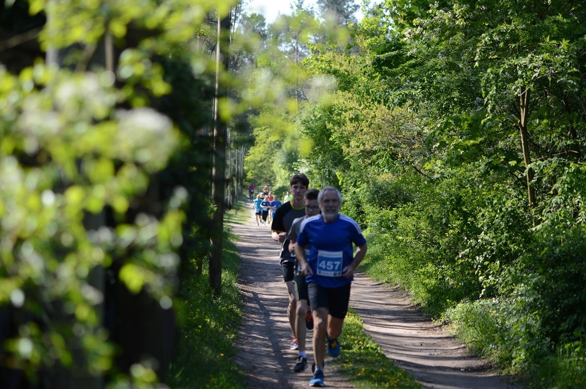Gommeraner Seenlauf, Foto Veranstalter Gommeraner Seenlauf, Foto Veranstalter