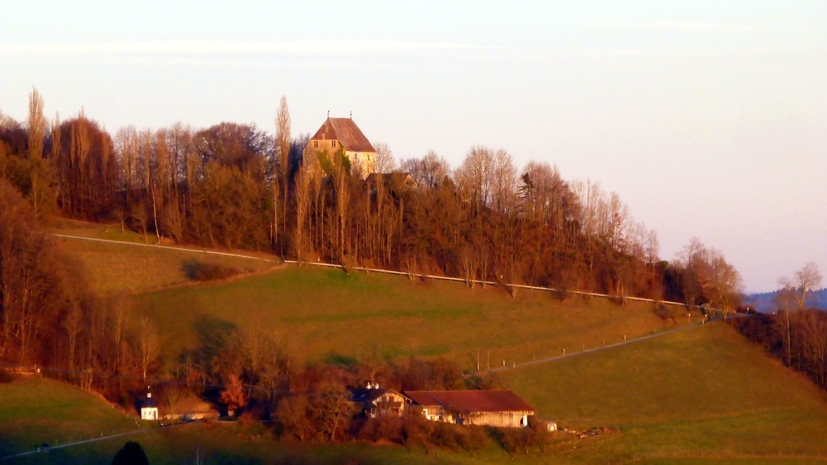 Stampfl-Berglauf, Foto: Veranstalter Stampfl-Berglauf, Foto: Veranstalter