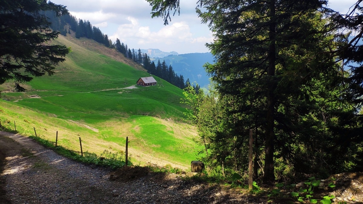 Walserkamm Rundtour 06 Walserkamm Rundtour 06