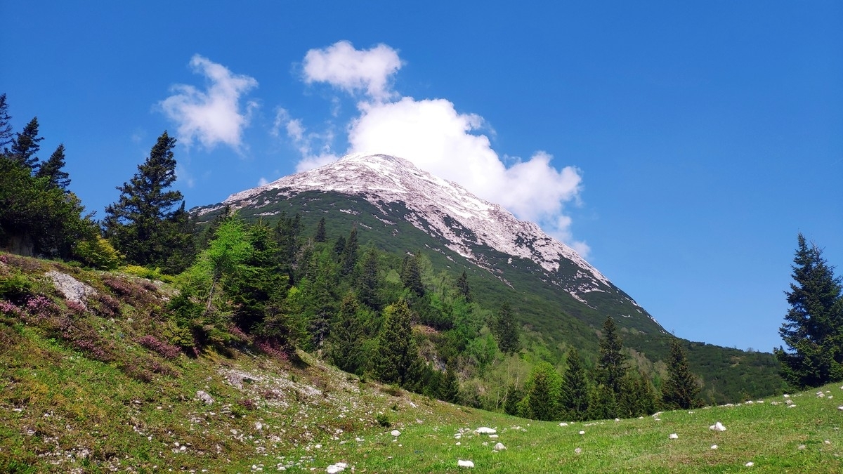 Hohe Munde 06: Das begehrte Ziel gut in Sicht. Hohe Munde 06: Das begehrte Ziel gut in Sicht.
