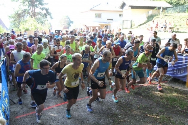 Geländelauf Rund um den Karriegel (C) Veranstalter Geländelauf Rund um den Karriegel (C) Veranstalter