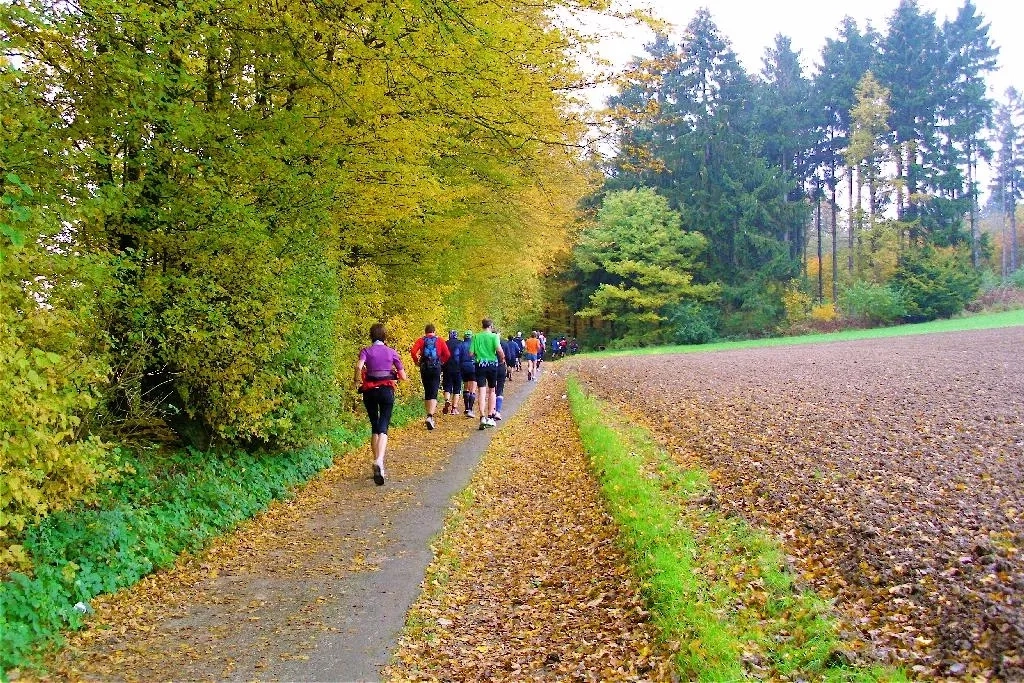 Röntgenlauf (Foto: © Veranstalter) Röntgenlauf (Foto: © Veranstalter)