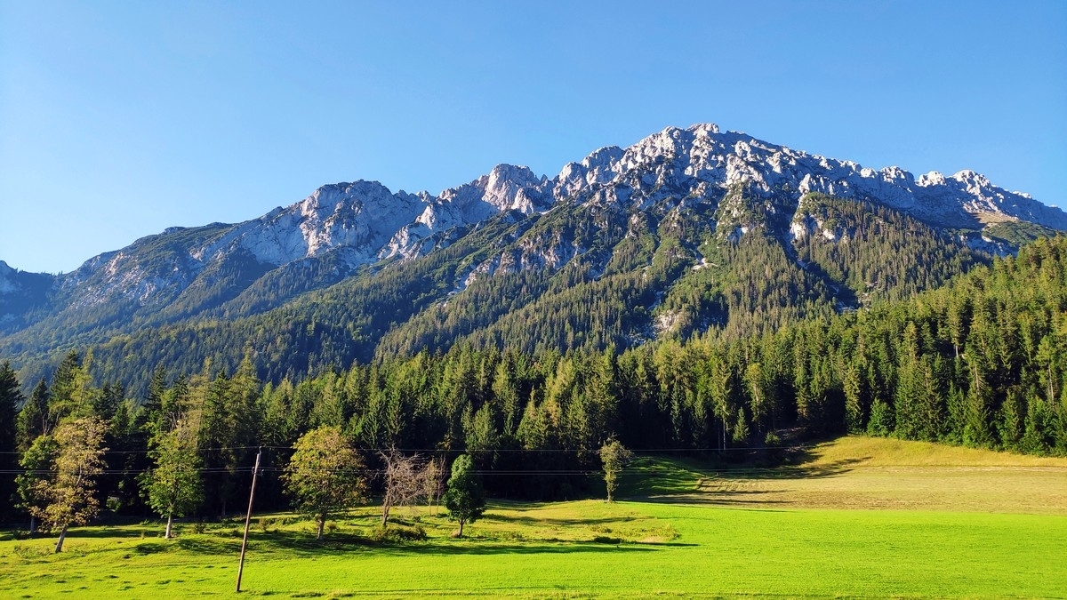 Scheffauer 14: Abstieg wie Aufstieg Scheffauer 14: Abstieg wie Aufstieg