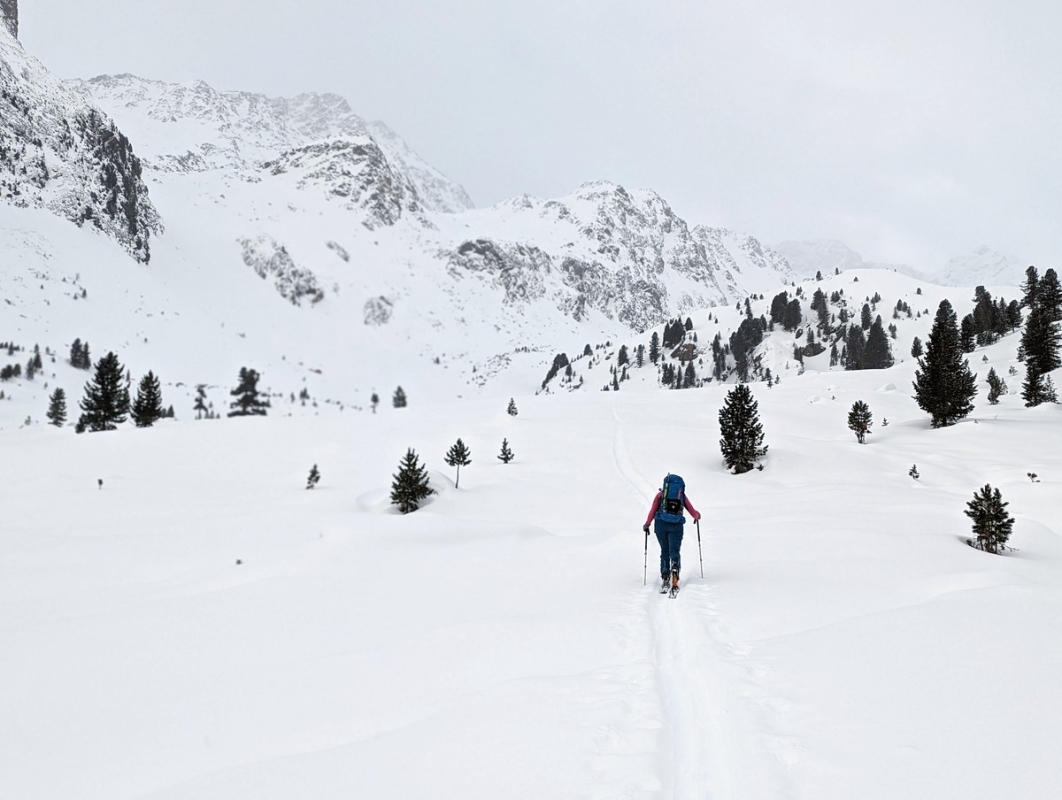 Skitour Tonigenkogel 02: Nach der Waldpassage ist das flache Sulzkar auf über 2.000 Metern Höhe erreicht. Skitour Tonigenkogel 02: Nach der Waldpassage ist das flache Sulzkar auf über 2.000 Metern Höhe erreicht.