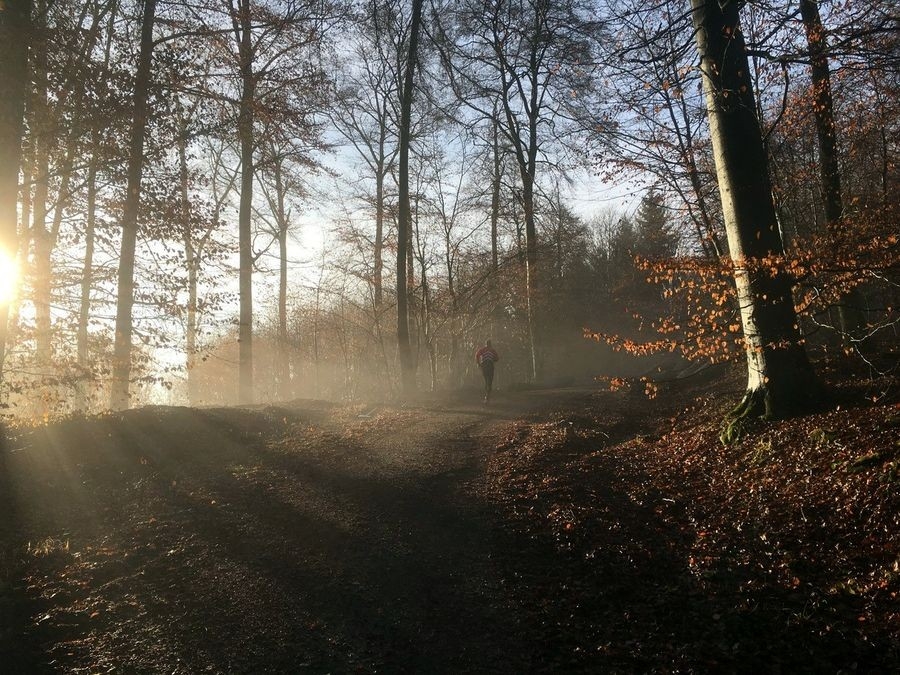 Winterlaufserie Hofheim-Lorsbach (c) Veranstalter Winterlaufserie Hofheim-Lorsbach (c) Veranstalter
