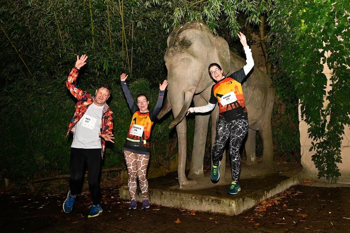 Zoo-Run by night Hannover 2023, Foto: © Debbie Jayne Kinsey Zoo-Run by night Hannover 2023, Foto: © Debbie Jayne Kinsey
