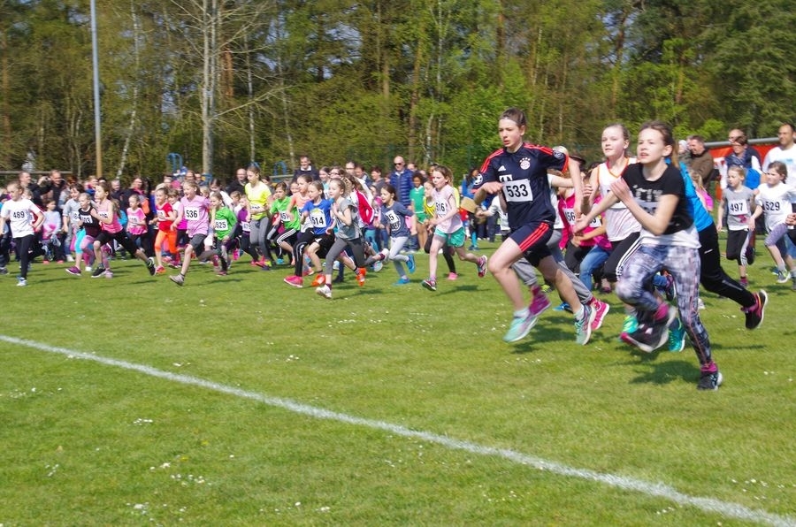 Südheide Volkslauf (C) Veranstalter Südheide Volkslauf (C) Veranstalter