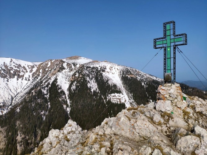 Krummbachstein 22: Gipfelkreuz Krummbachstein, im Hintergrund der Schneeberg, der über einen Wanderweg auch von hier aus gut zu erreichen ist