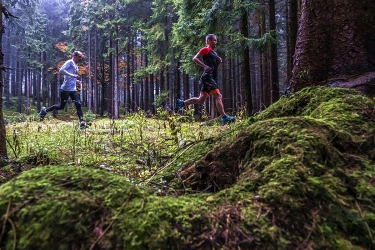 Liberec Nature Run 2022, Foto: RunCzech