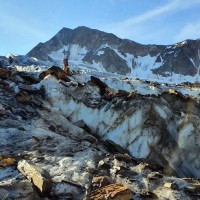 Hintere Schwärze - Normalweg 15: Gletscher