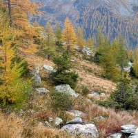 Bergtour-Ankogel-18: Blick bergab