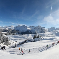 Swiss Snow Walk &amp; Run Arosa (C) Veranstalter