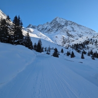 Kuhscheibe Skitour: Aufstieg zur Amberger Hütte über eine Forststraße.