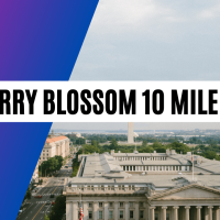 Results Cherry Blossom Ten Mile Run