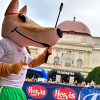 Graz Marathon 2024: Maskottchen im Einsatz