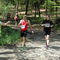 eutoburger-Wald-Marathon (C) Veranstalter