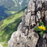 Kleiner Widderstein 22: Kurze Ablenkung beim Klettern.