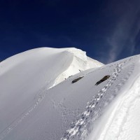 Mönch-Überschreitung-13: Die letzten Höhenmeter geht es entlang eines großen Schneefeldes