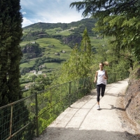 Bolzano City Trail (C) Veranstalter
