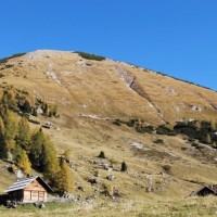 Wahaha Bärental- und Helvetia Karawanken Trail