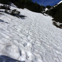 Großer Knallstein 15: Eingefrorene Schrittspuren