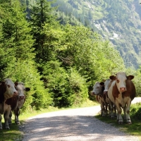 Wandern in den Schladminger Tauern