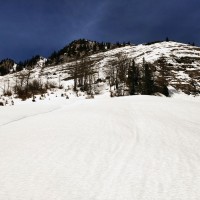 Dürrenstein Rundtour 08: Der Schnee wird tiefer, Spuren sind keine mehr zu sehen