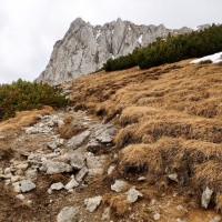 Fölzstein 03: Anstieg zum Gipfel