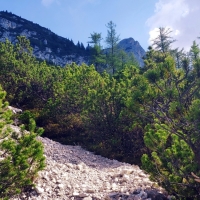 Arnspitzen Überschreitung 04: Der steile Weg führt auf ca. einem Kilometer rund 500 Höhenmeter bergauf.