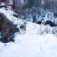 Dürrenstein 03: Vom ersten Meter an geht es Mitten im Februar natürlich durch den Schnee