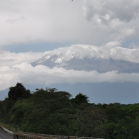 Kilimanjaro Marathon 2024, Bild 57