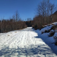 Ötscher via Rauher Kamm 12: Kurz gegen Ende des 3,5 Kilometer langen Forstweges