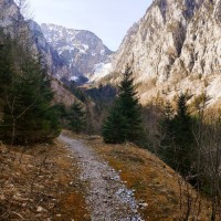 Teufelsbadstubensteig 04: Nun über einem Kilometer einem Forstweg im Großen Höllental folgen