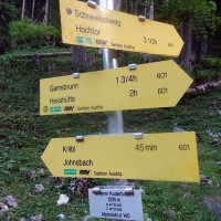Nun trennen sich die Aufstiegswege. Ich gehe den Schneelochwg Richtung Gipfel. Alternativ kann man auch über die Hesshütte (601) und den darauffolgenden Josefinensteig zum Gipfel aufsteigen.