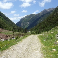 Ist dieser Abschnitt geschafft, folgt man dem Forstweg, der nun wieder zum Riesachsee führt