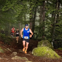 Ulrichsberglauf 2025