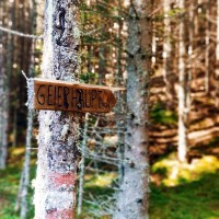 Rundtour Seckauer Alpen 09: Es geht aber rechts in den Wald