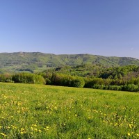 Die höchsten Berge im Wienerwald
