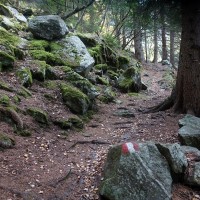 Bergtour-Ankogel-11: Die Wege sind durchgehend hervorragend markiert