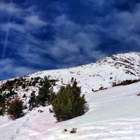 Kraspesspitze Skitour 09: Viel Grün Mitte Februar auf über 2.000 Metern Höhe