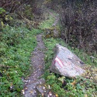 Bergtour-Grosser-Hafner-13: Weiterhin der markierten Route folgen