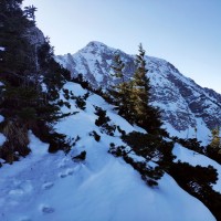 Ötscher via Rauher Kamm 21: Das Gipfelziel im Blick