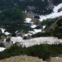 Warscheneck via Südost-Grat: Der Abstieg ist über den Weg 201 (Steig) oder 293 möglich. Leider wieder verlaufen und so musste ich mich durch Streucher bergab quälen