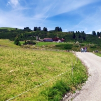 Isskogel 06: Von der Bergstation weiter zur Latschenalm