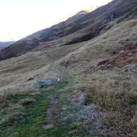 Bergtour-Großer-Ramolkogel-13: Gemütliche Wanderung