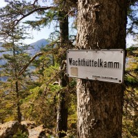 Teufelsbadstubensteig 45: Abstieg über den Wachthüttelkammsteig (A)