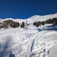 Skitour Niederjöchl 01: Nach einem längeren Aufstieg durch den Wald öffnet sich nach der Waldgrenze das Skigelände.