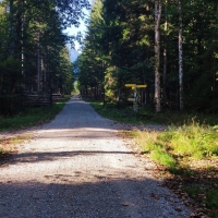 Frieder-Kreuzspitze Überschreitung 02: Die ersten 5 km führt die Route über eine Forststraße Richtugn Süden.