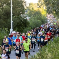 WIEN ENERGIE Business Run